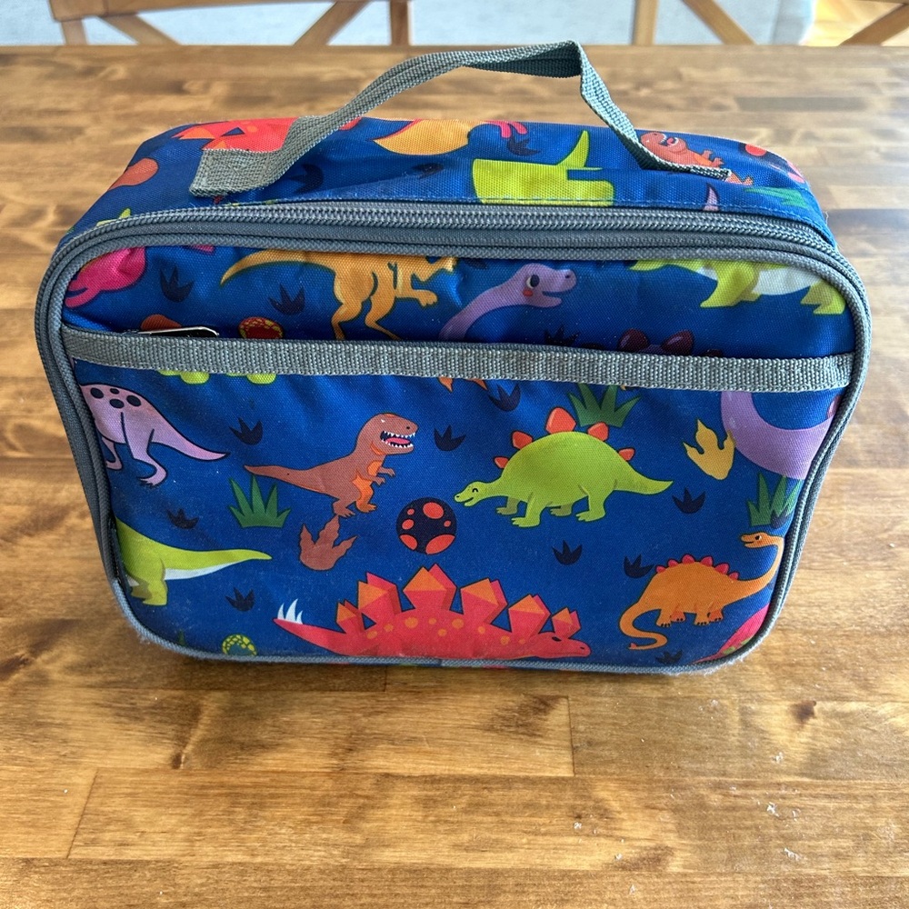Dinosaur insulated lunchbox